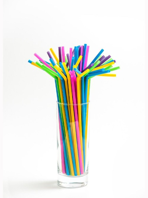Plastic Straw